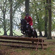 rævehalejagten pony